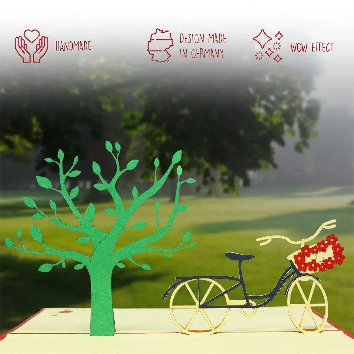 3D Pop-Up Karte Fahrrad - kreative Grußkarte für Radfahrer, N153 - LINPopUp
