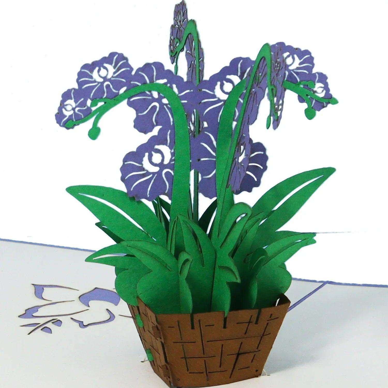 3D Pop-Up Karte Blumenkarte, Orchidee lila, N368 LINPopUp N368