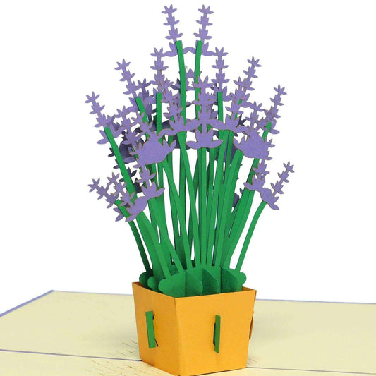 3D Pop-Up Karte Lavendel Blumen, N51 - LINPopUp