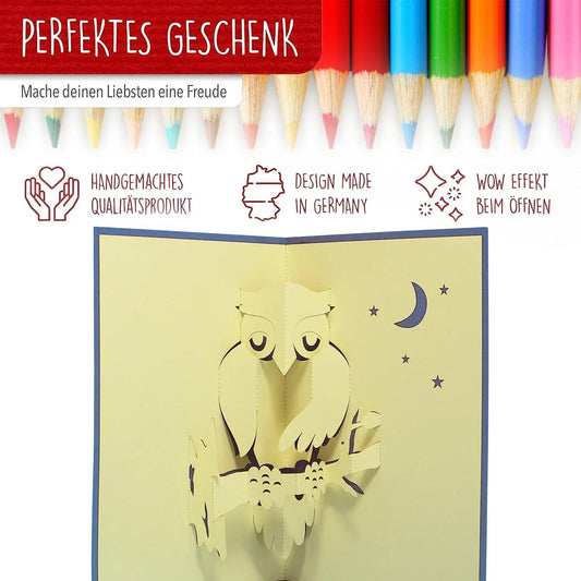 3D Pop-Up Karte Eule in der Nacht, N137 - LINPopUp