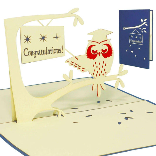 3D Pop-Up Karte Uhu Doktorhut Congratulations, N230 LINPopUp N230