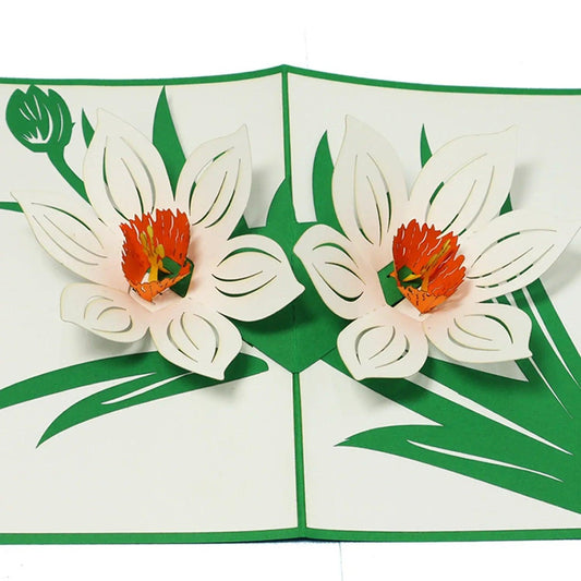 3D Pop-Up Karte Blumenkarte, Blüten - Blumen Weiß, N708 - LINPopUp