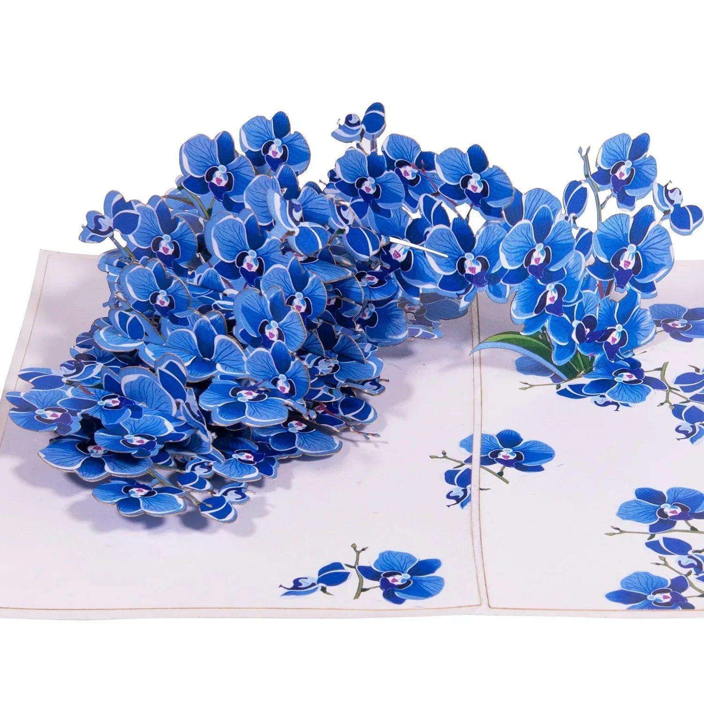 3D Pop-Up Karte Blumen, Orchidee Blau, N309 - LINPopUp