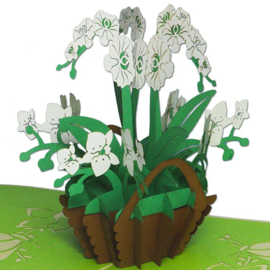Pop Up Karte 3D Orchidee Weißgrün – Grußkarte Muttertag & Geburtstag - LINPopUp