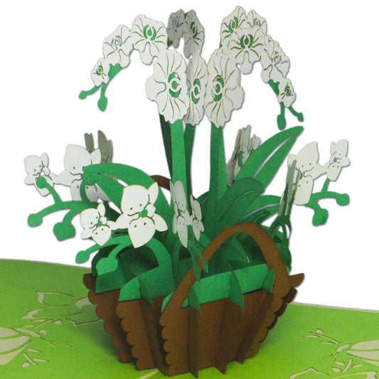 Pop Up Karte 3D Orchidee Weißgrün – Grußkarte Muttertag & Geburtstag - LINPopUp