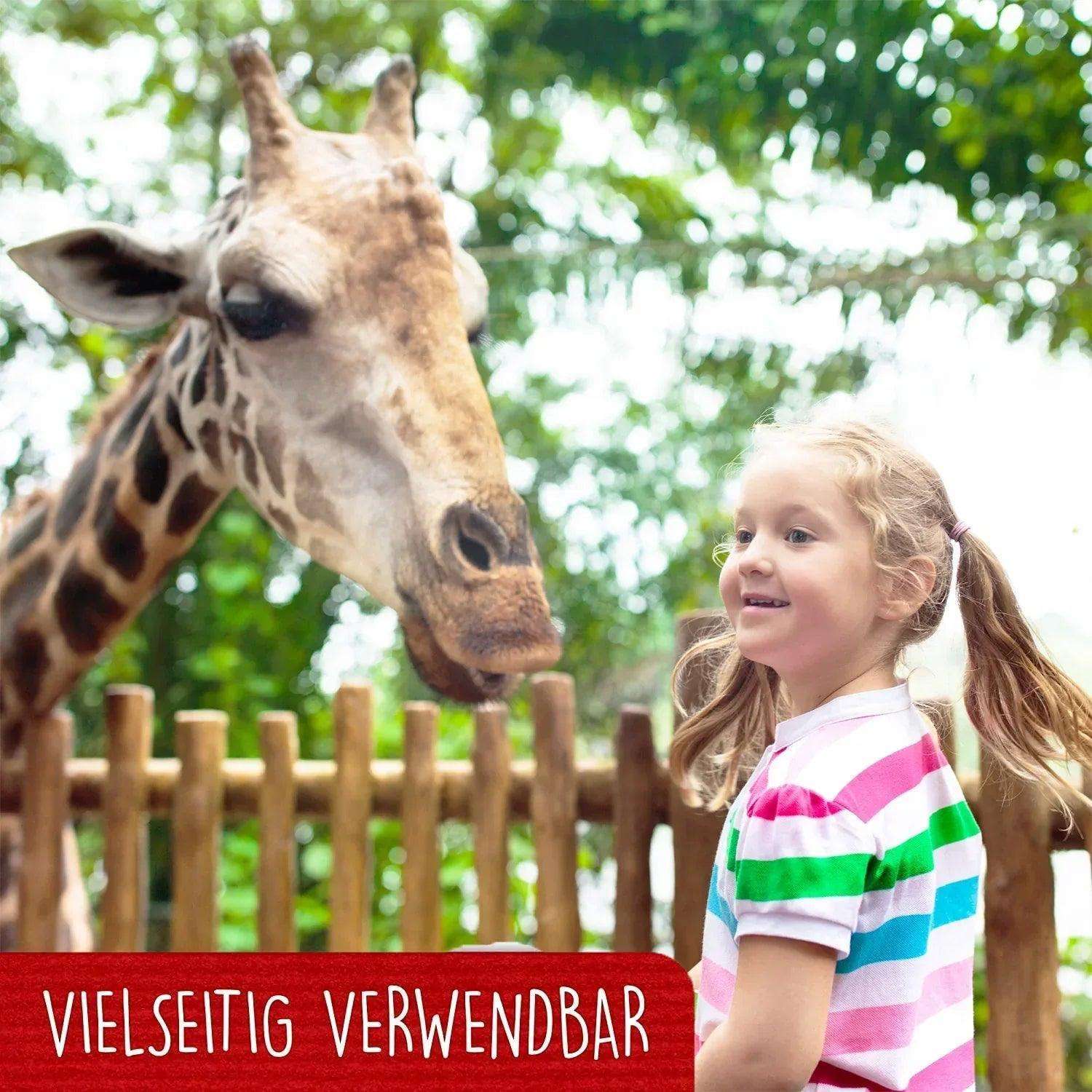 3D Pop-Up Karte Safari - Zootiere Geburtstagskarte Zoo Gutschein, N221 - LINPopUp
