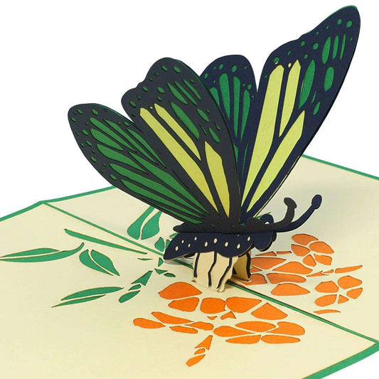 Pop Up Karte 3D Schmetterling Grün – Grußkarte Muttertag & Geburtstag - LINPopUp
