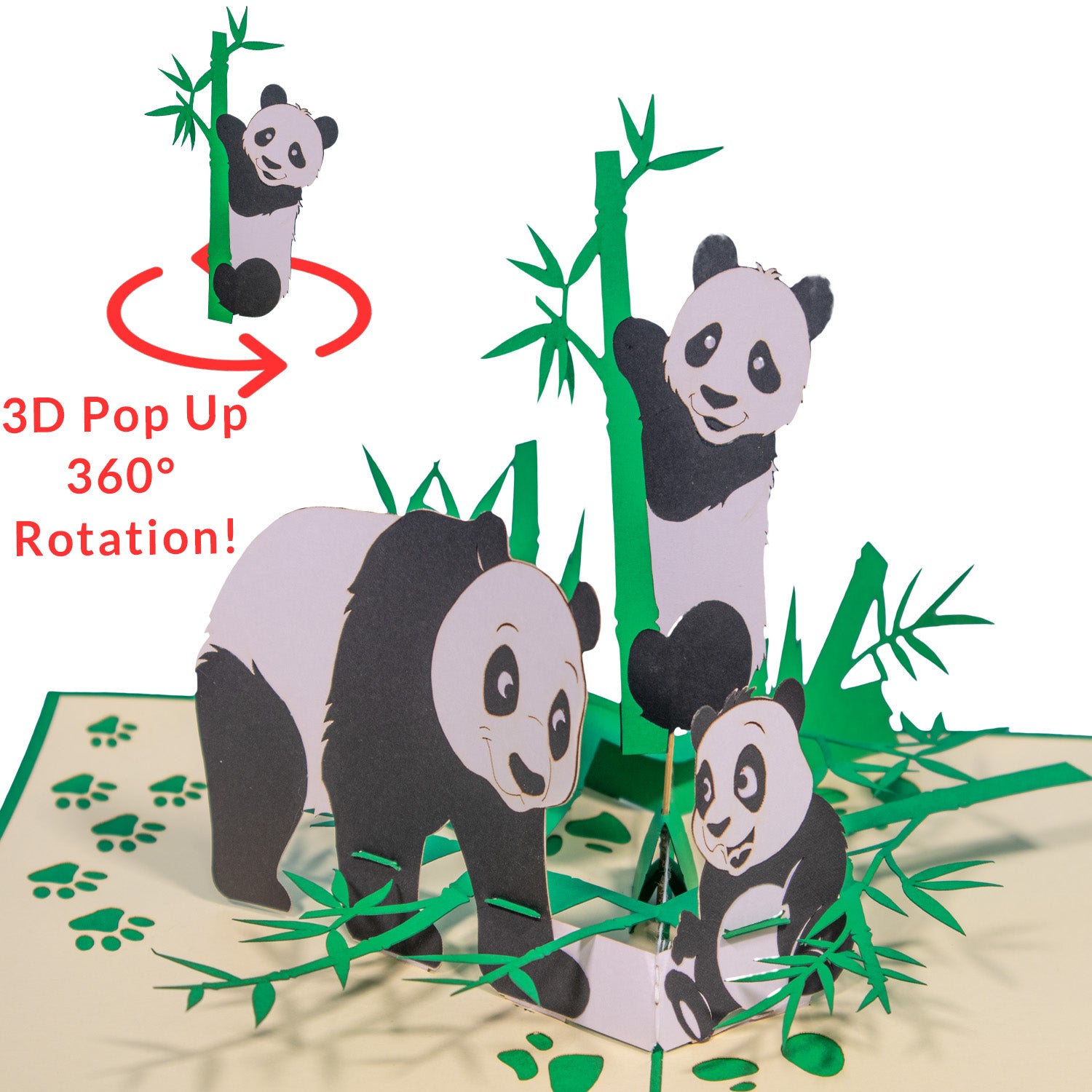 Pop-Up 3D Geburtstagskarte für Kinder - Kindergeburtstag Karte- Drehender Pandabär, Panda Famillie, N198